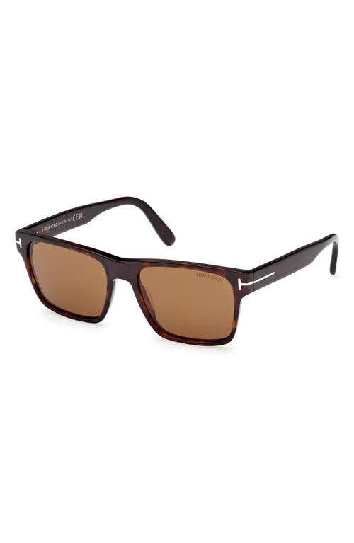 Tom Ford Calder 55mm Square Sunglasses In Shiny Dark Havana Eco