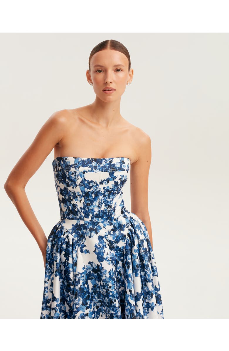 Milla Ravishing Blue Hydrangea Corset Maxi Dress, Alternate, color, Blue-Double