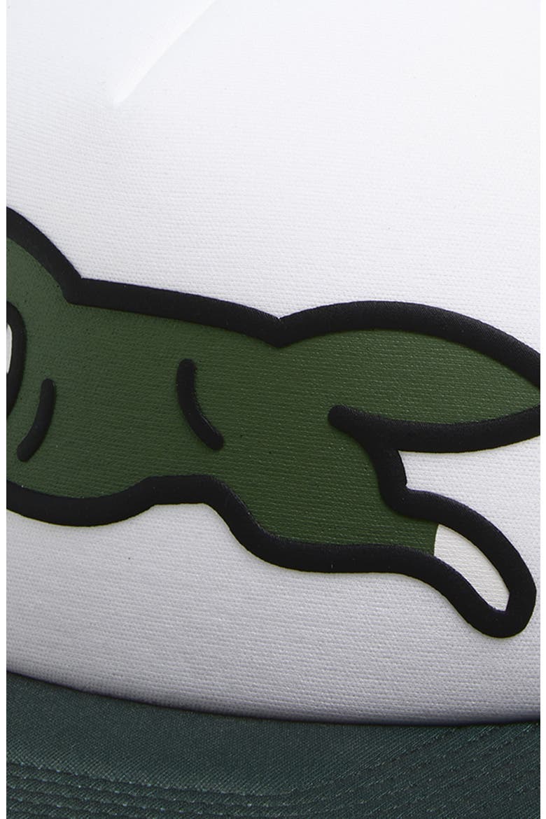 Running Dog Trucker Hat, Alternate, color, BRONZE GREEN
