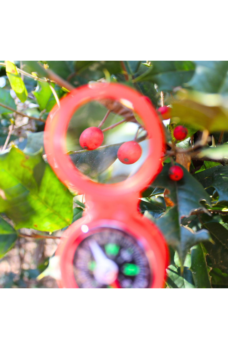 Safari Ltd. Opaque Optic One - Assorted Colors, Alternate, color, NO COLOR