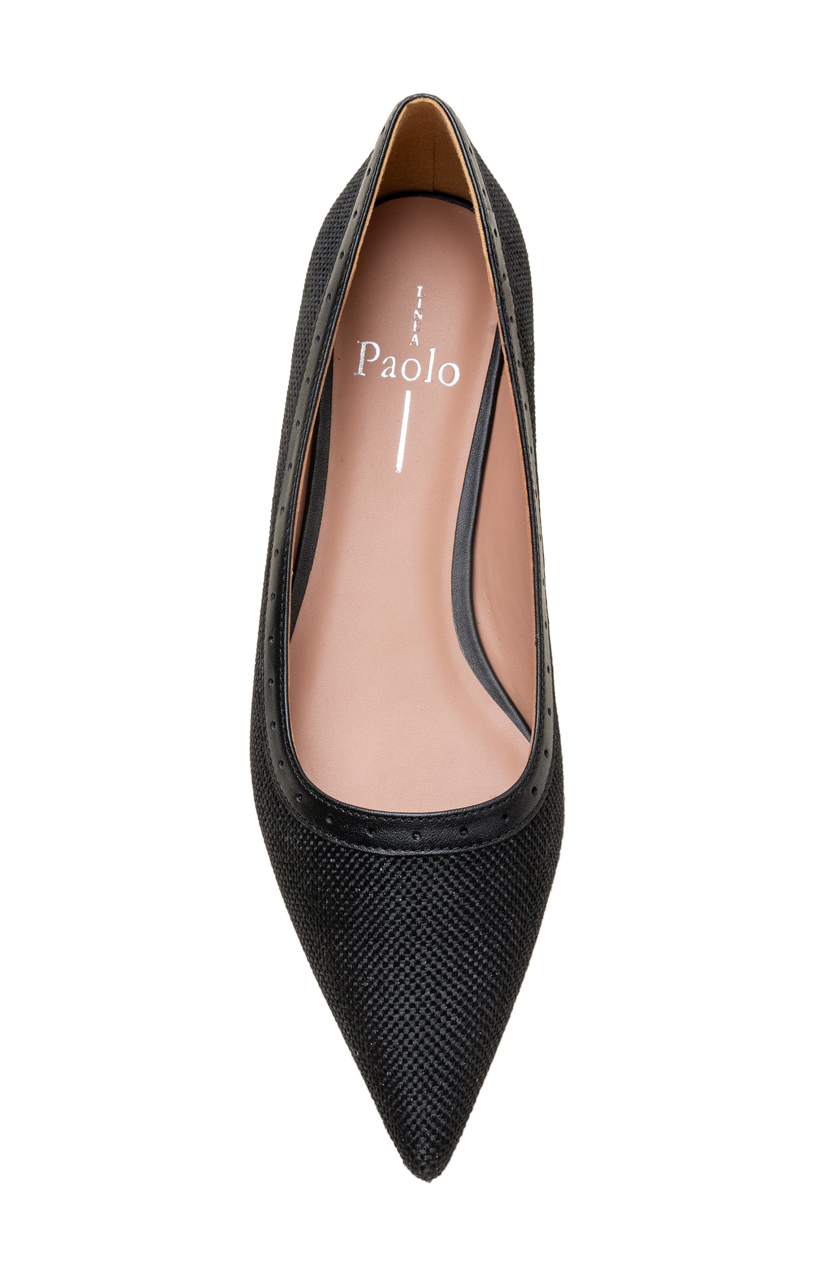 Linea Paolo Newport Pointed Toe Flat, Alternate, color, Black