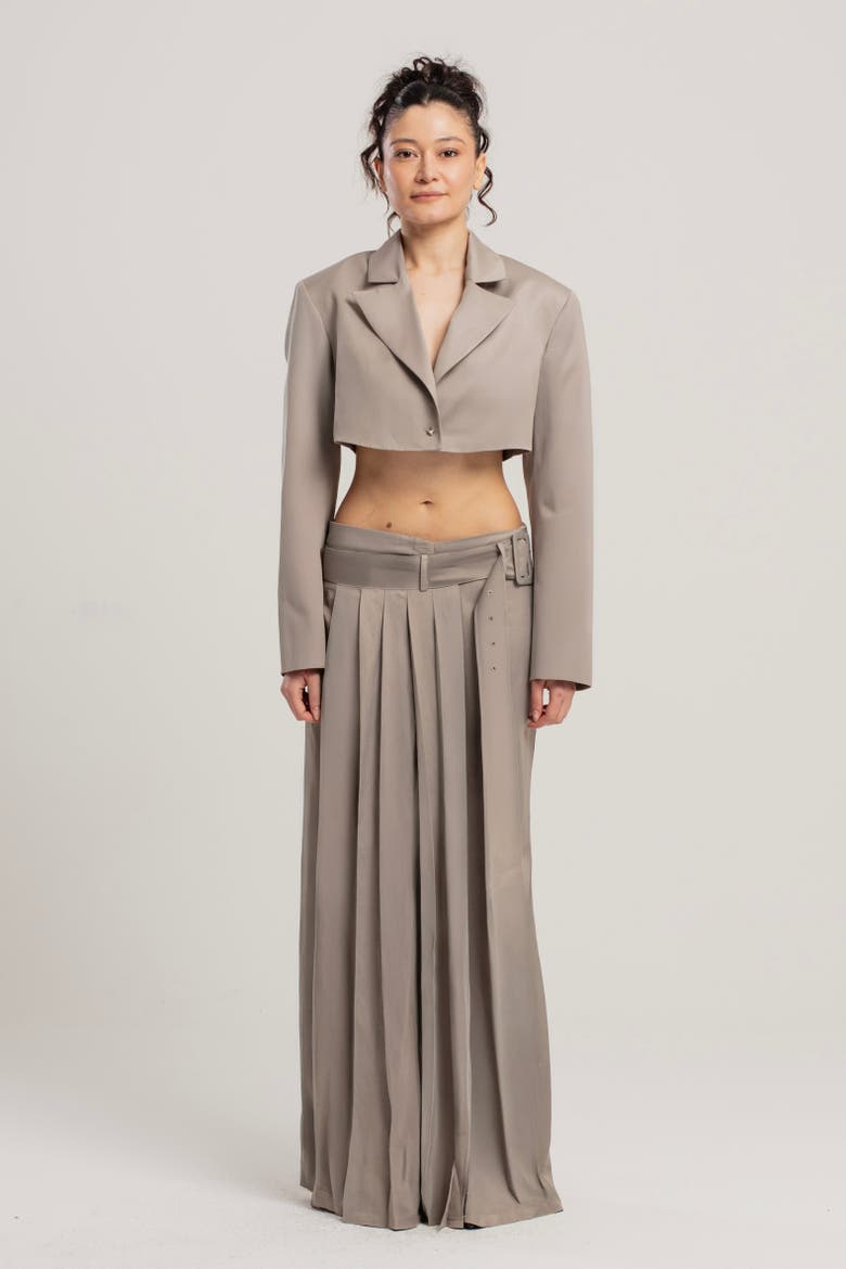 Linen Blend Shiny Woven Skirt, Alternate, color, BEIGE