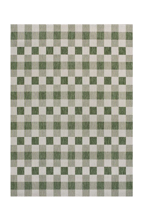 Darcy Traditional Geometric Bold Gingham Indoor/Outdoor Area Rug