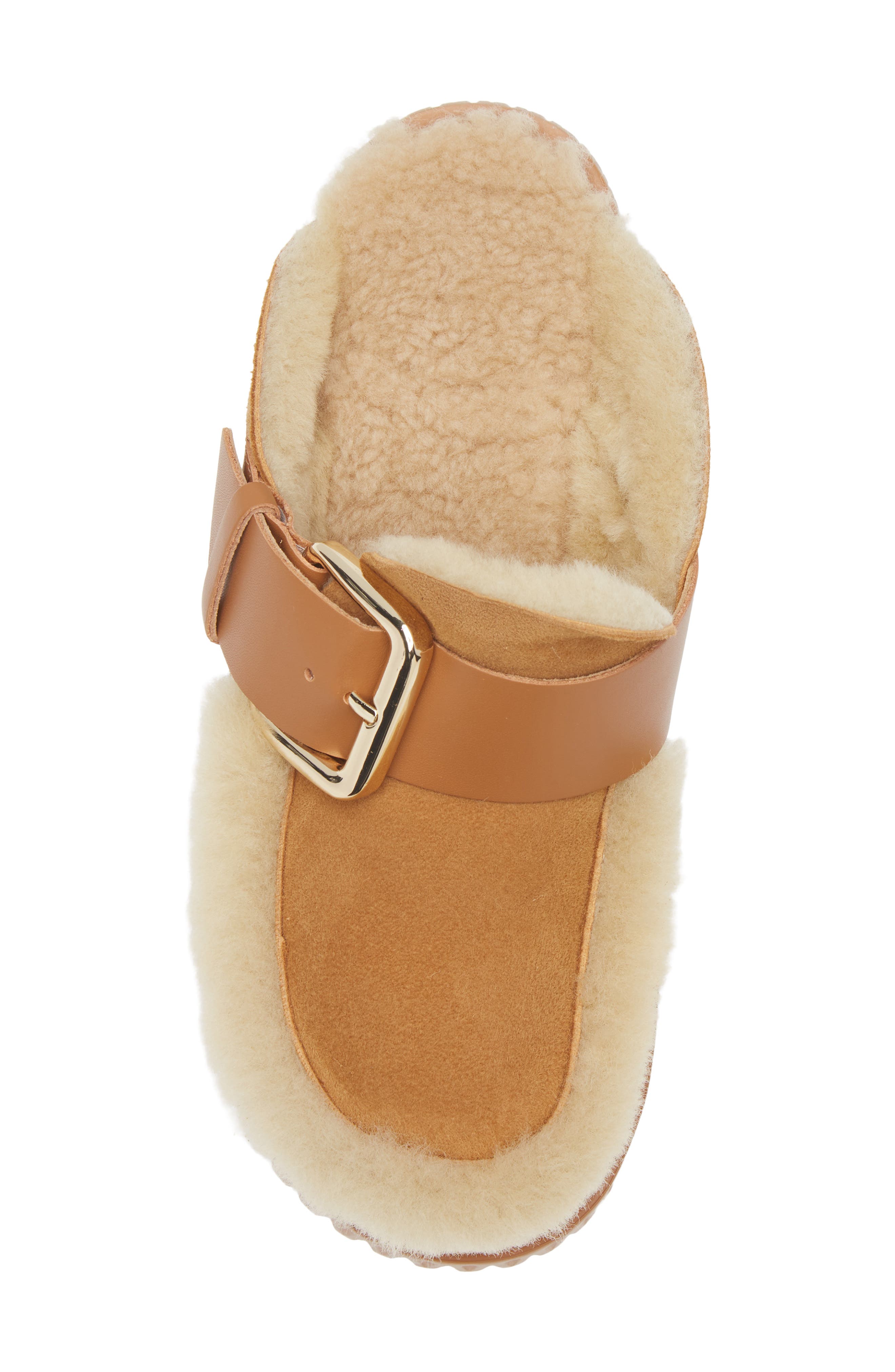 4CCCCEES Plia Amber Genuine Shearling Platform Clog, Alternate, color, Camel