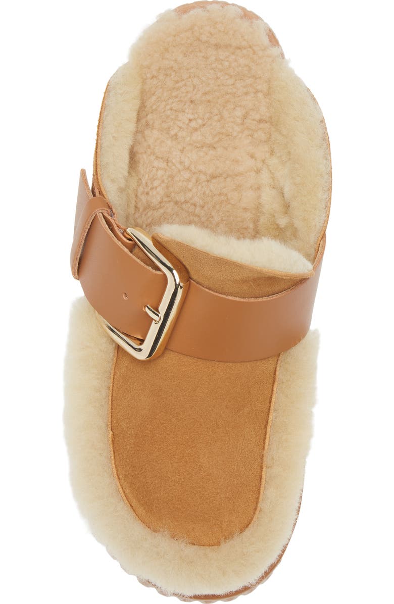 4CCCCEES Plia Amber Genuine Shearling Platform Clog, Alternate, color, Camel