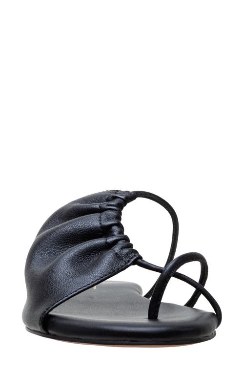 Linea Paolo Lane Toe Loop Sandal In Black
