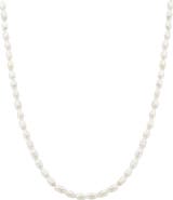 Bearfruit Jewelry 14k Gold Plated Memories Base Pearl Necklace Minimalist Piece