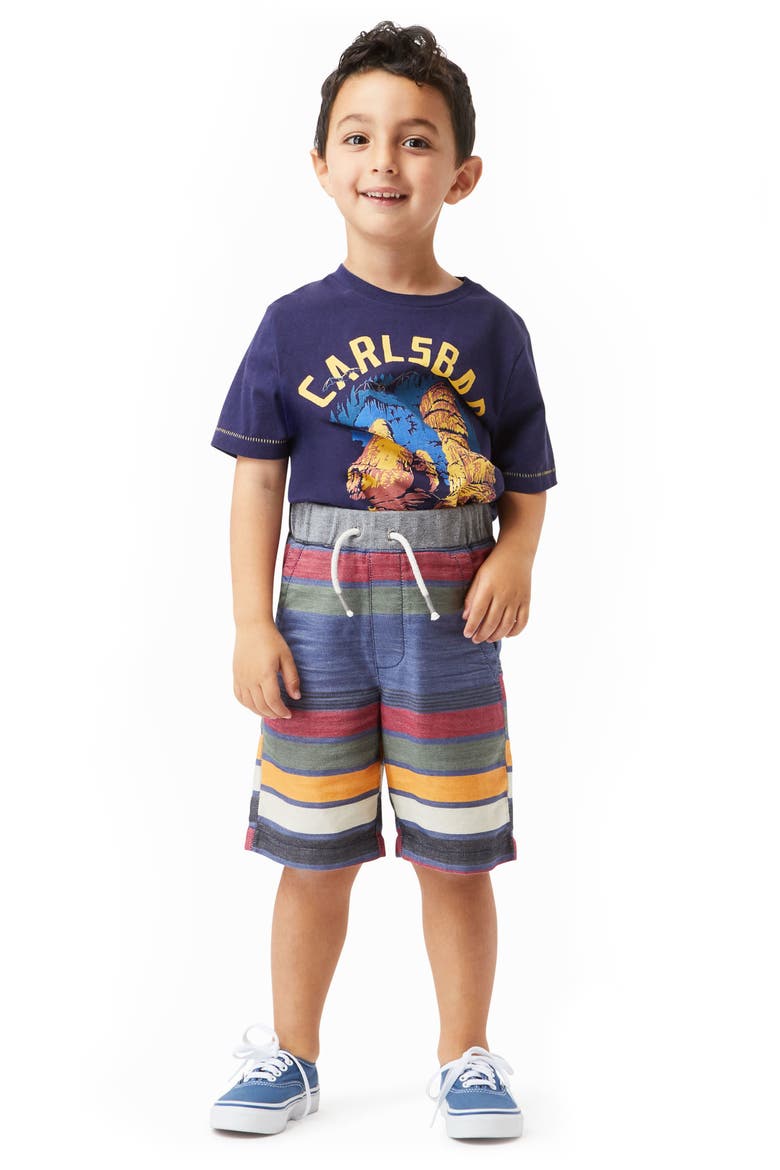 Noah Stripe Shorts, Alternate, color, STRIPE