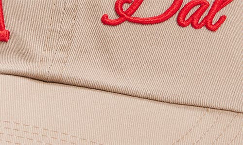 David & Young Tx Dad Baseball Cap In Pink
