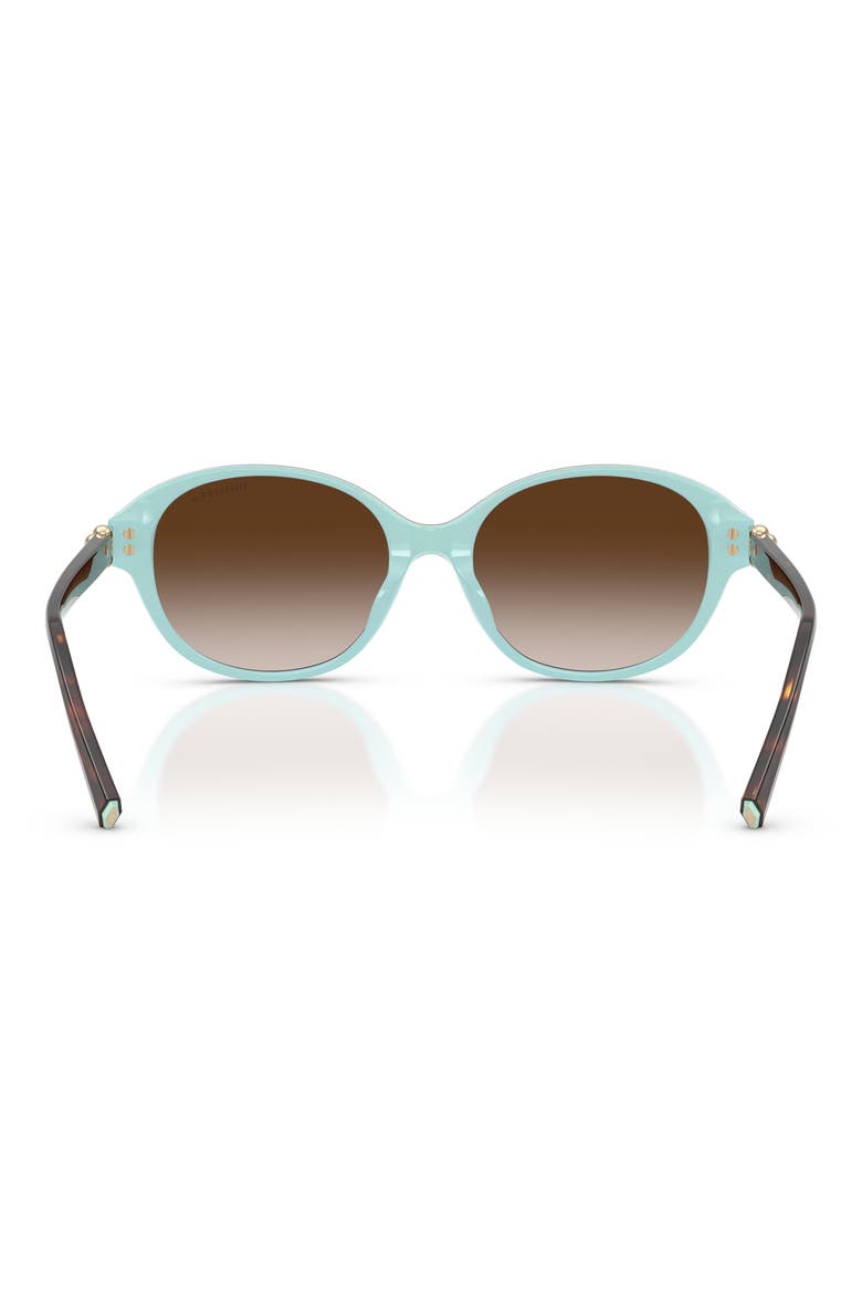 54mm Round Sunglasses, Alternate, color, HAVANA ON TIFFANY BLUE / BROWN