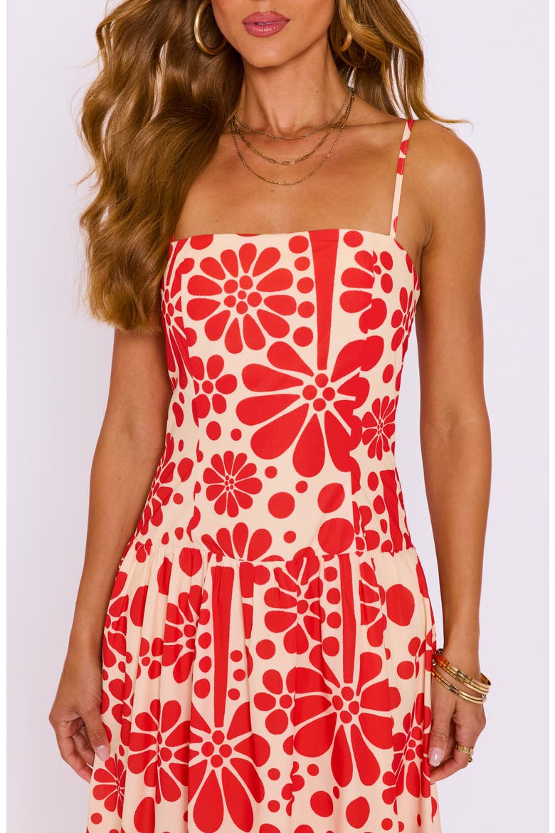 Meadows Sleeveless Fit & Flare Maxi Dress, Alternate, color, CREAM/ RED