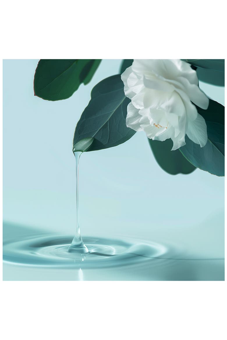 Huile Apaisante Soothing Treatment for Sensitive Scalp, Alternate, color, NO COLOR