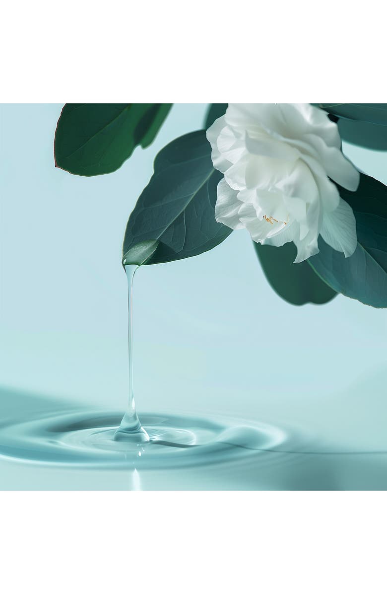 Leonor Greyl PARIS Huile Apaisante Soothing Treatment for Sensitive Scalp, Alternate, color, 