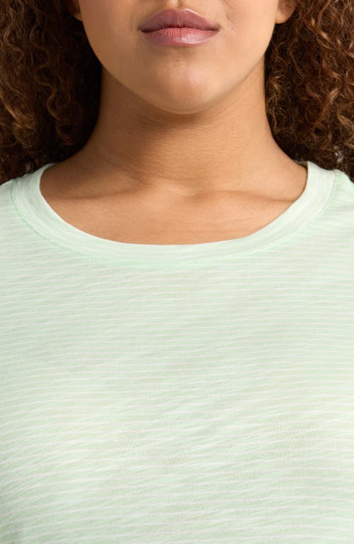 Sanctuary The Perfect T-shirt In Mint Tea