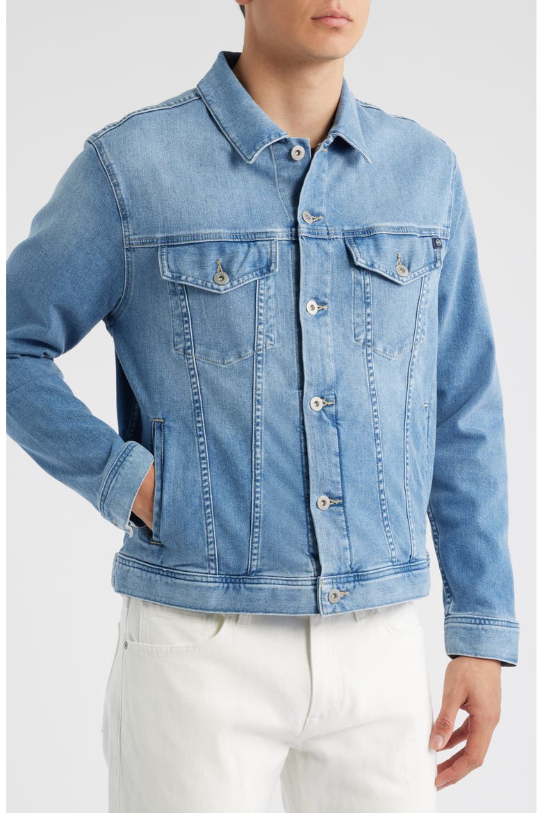 Dart Denim Jacket, Alternate, color, ANCIENT