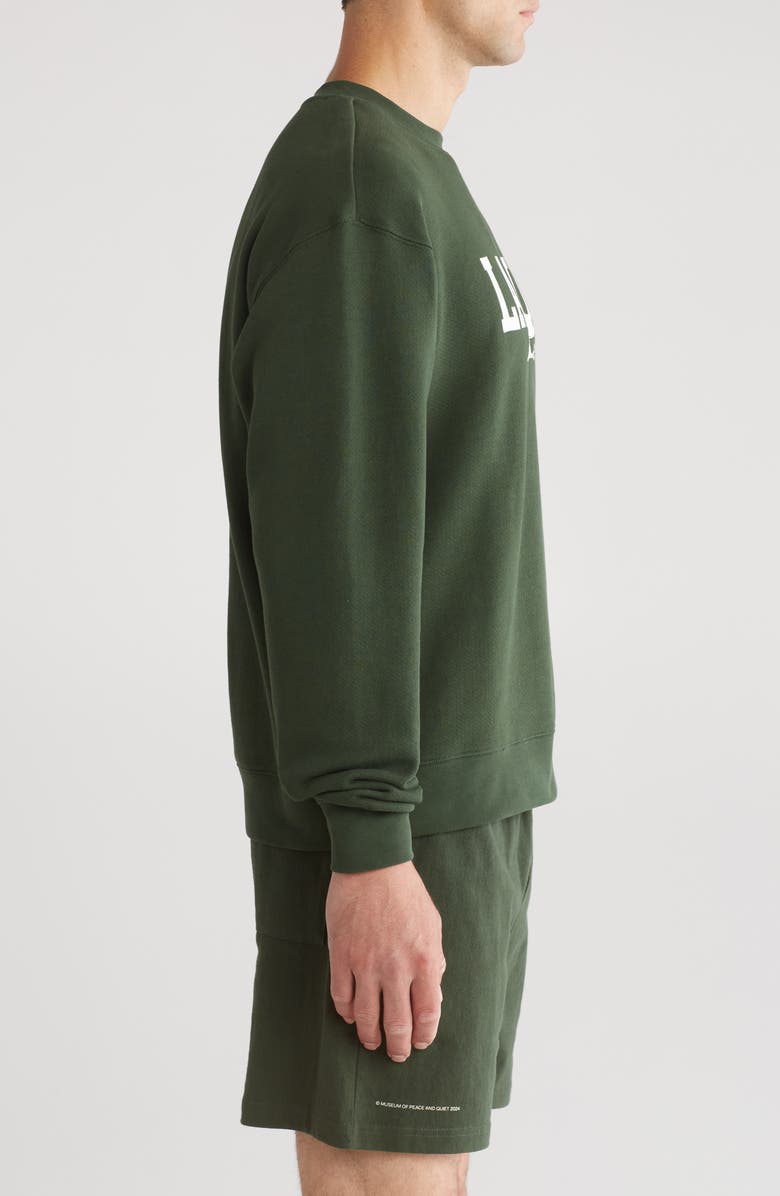 Museum of Peace & Quiet Laguna Crewneck Cotton Graphic Sweatshirt, Alternate, color, 