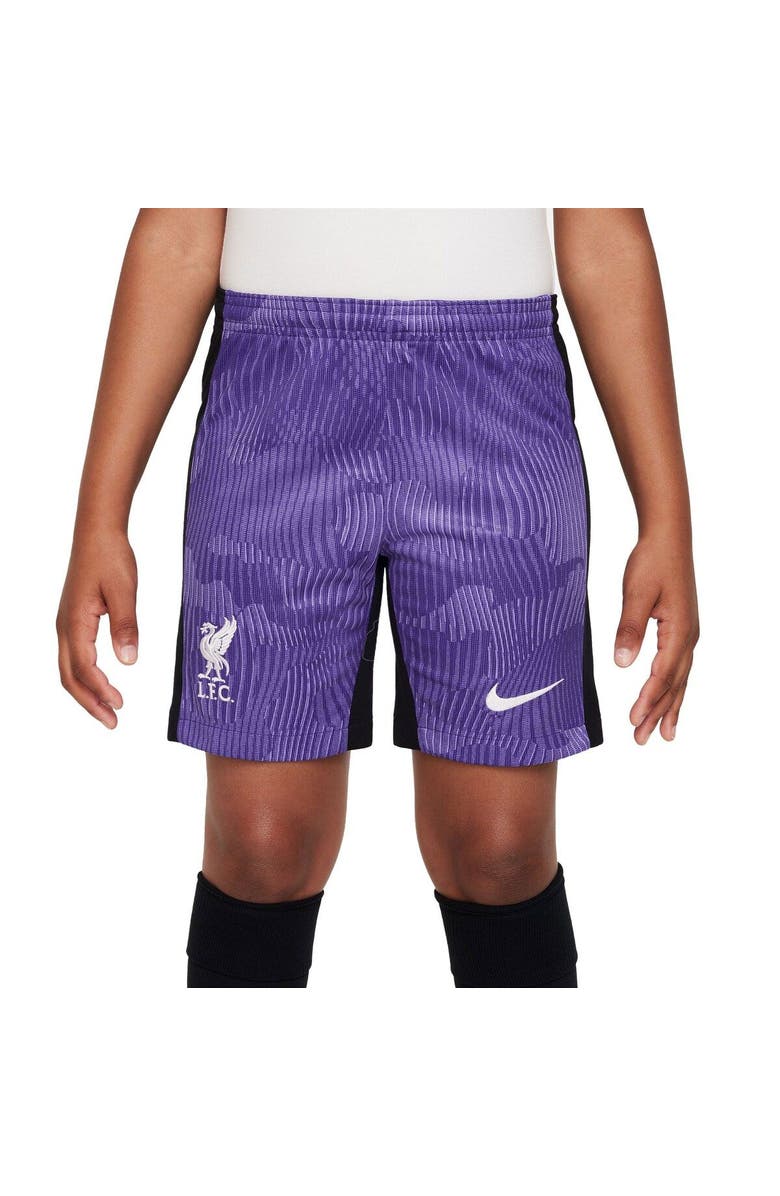 Nike Youth Nike Purple Liverpool 2023/24 Third Stadium Performance Shorts, Alternate, color, Purple