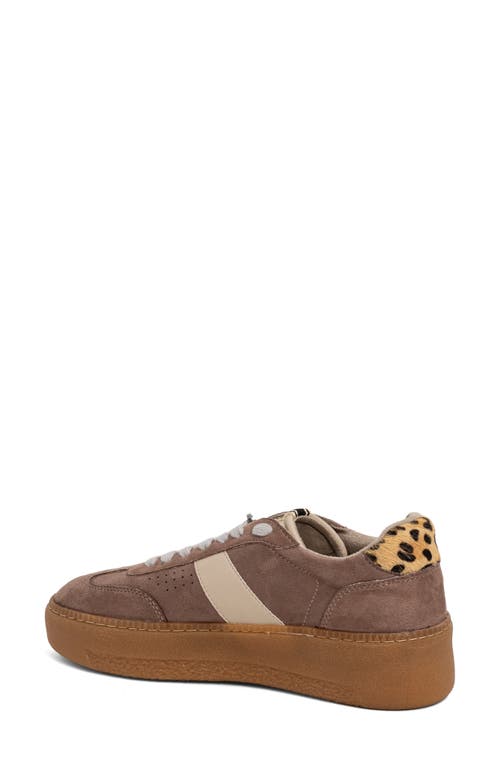 Shushop Stacey Platform Sneaker In Multi
