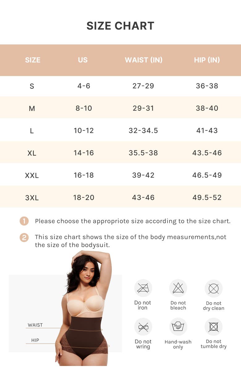 Shapellx Mesh Smooth High-Waisted Sheer Lace Brief, Alternate, color, Classic Black