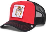 Goorin Bros. Team Bulldog Trucker Hat