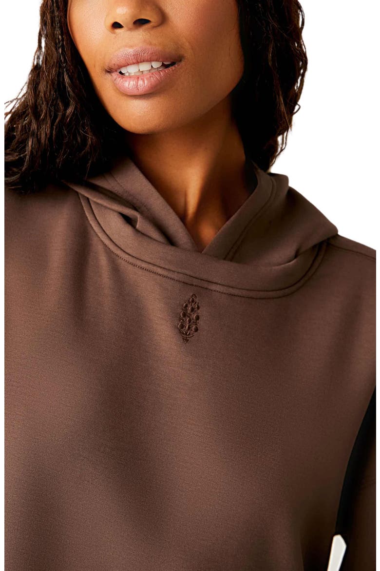 FP Movement Playing Games Hoodie, Alternate, color, DRIFTWOOD
