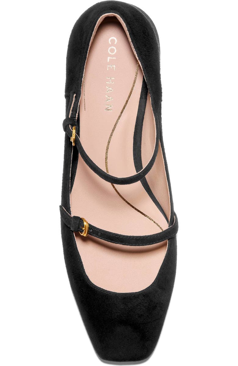 Cole Haan Paxton Mary Jane Pump, Alternate, color, Black Sde