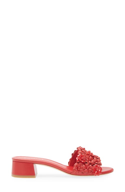 Stuart Weitzman Meadow Slide Sandal In Cherry