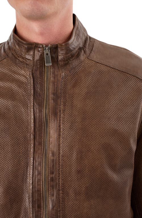 Regency Perforated Leather Jacket In Grey