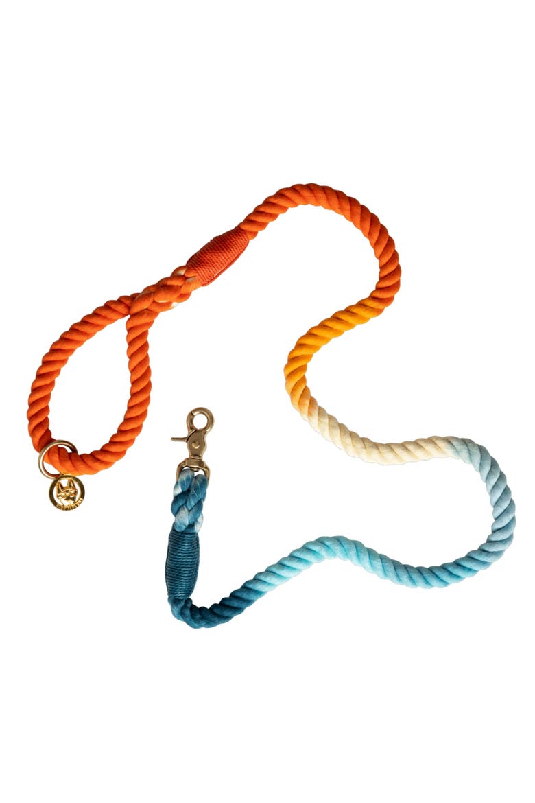 Beau Rope Dog Leash, Main, color, Beau 4ft