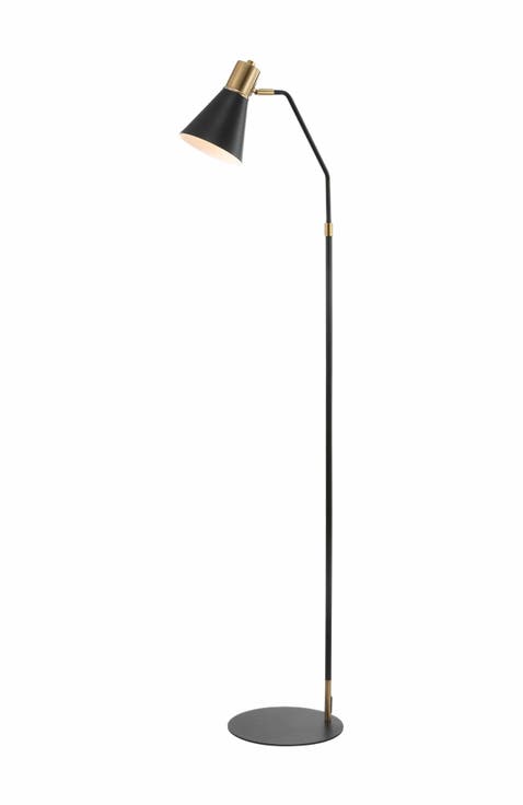 Apollo Modern Metal LED Task Floor Lamp