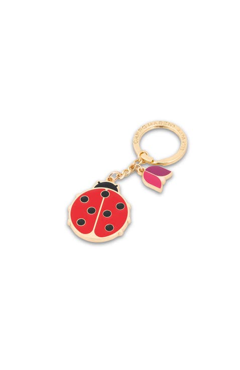 Ladybird Fashionable Decorative Keyring Key Chain Charm Accent