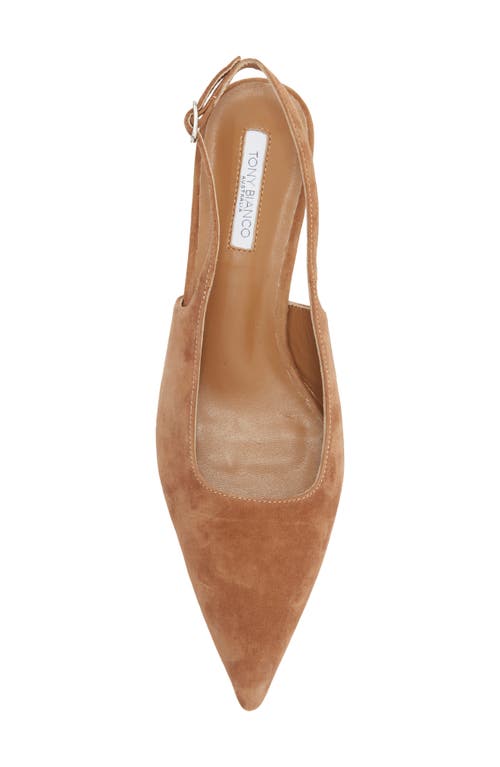 Tony Bianco Crush Slingback Pointed Toe Kitten Heel Pump In Multi