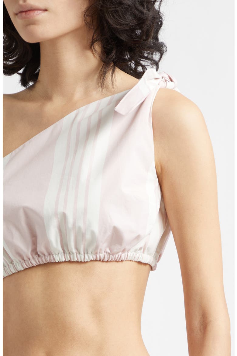Rosie Stripe Asymmetric Neck Crop Top, Alternate, color, PINK STRIPE
