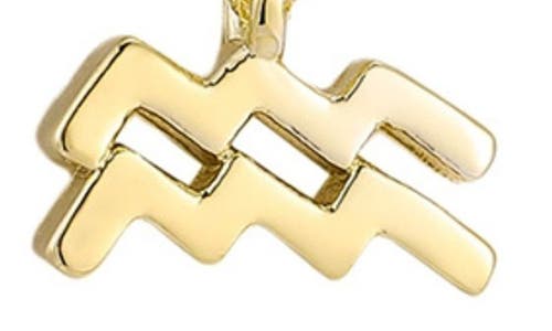 Adornia Zodiac Sign Pendant Necklace