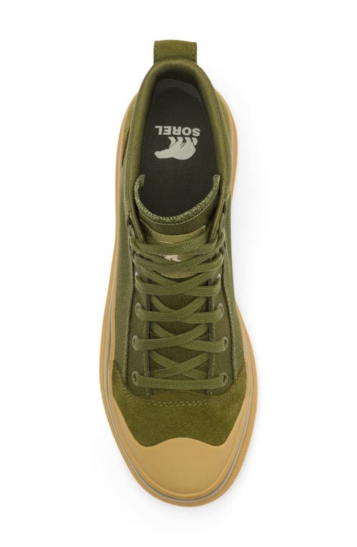 Sorel Scout N About™ Mid Sneaker In Utility Green/gum