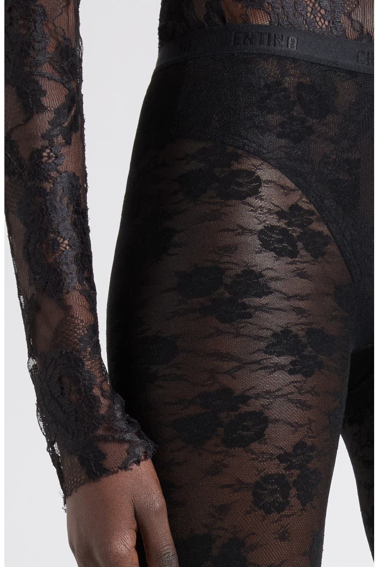 Sheer Floral Lace Tights, Alternate, color, BLACK