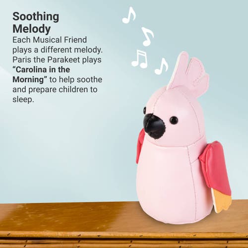 Little Big Friends Musical Animals In Pink