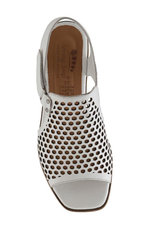 Spring Step Gosset Sandal In White