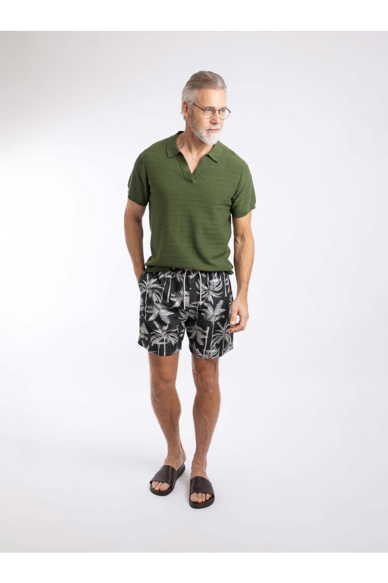 Orcha Premium Swim Shorts, Alternate, color, Black