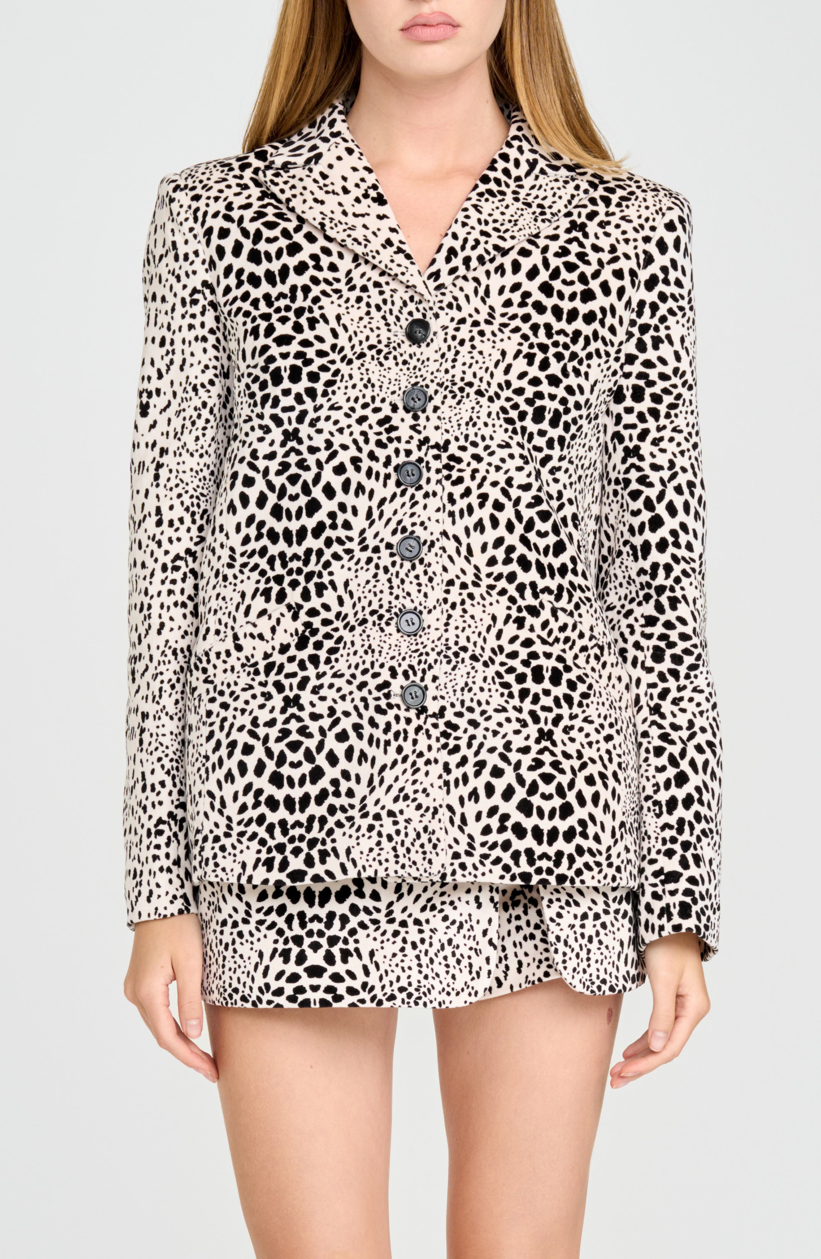 selected IVORY DALMATION