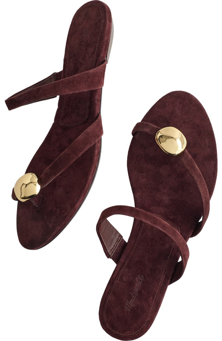 Madewell The Mila Hardware Toe Loop Slide Sandal, Alternate, color, Espresso Bean