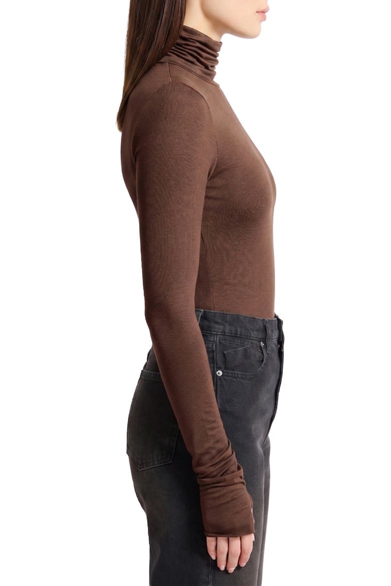 Eloise Sheer Turtleneck Top, Alternate, color, ESPRESSO