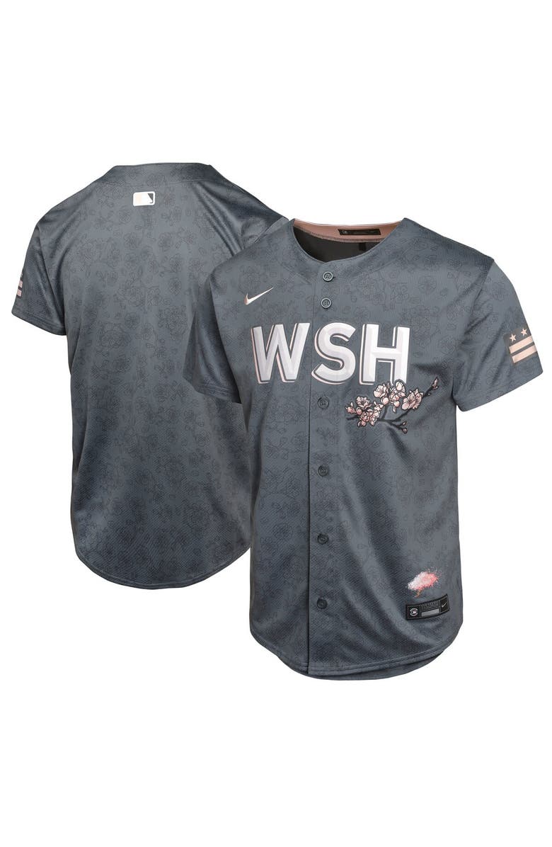 Nike Youth Nike Charcoal Washington Nationals City Connect Limited Jersey, Alternate, color,