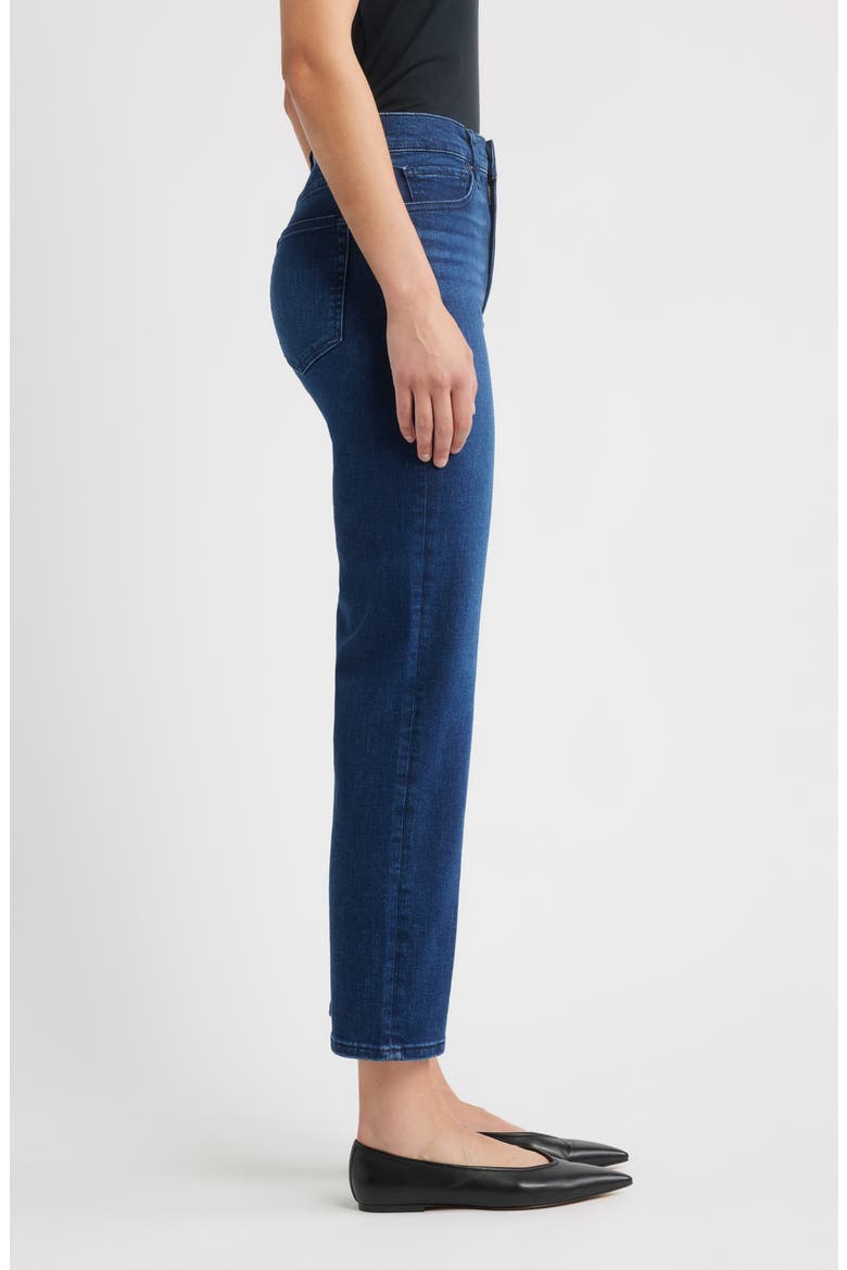 Le Sleek High Waist Ankle Straight Leg Jeans, Alternate, color, TRICK