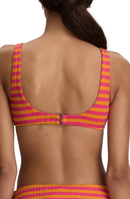 Polo Ralph Lauren Stripe Bikini Top In Multi