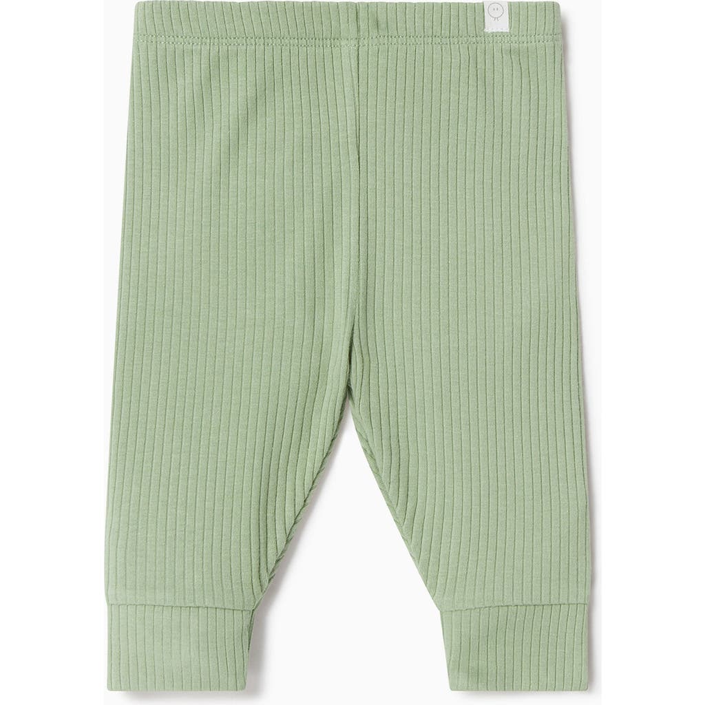 Mori Kids' Ribbed Leggings In Green