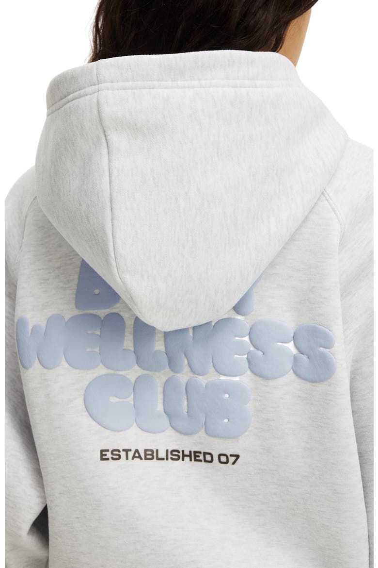 Women's Active Plush Premium Graphic Raglan Hoodie, Alternate, color, Cloudy Grey Marle Body