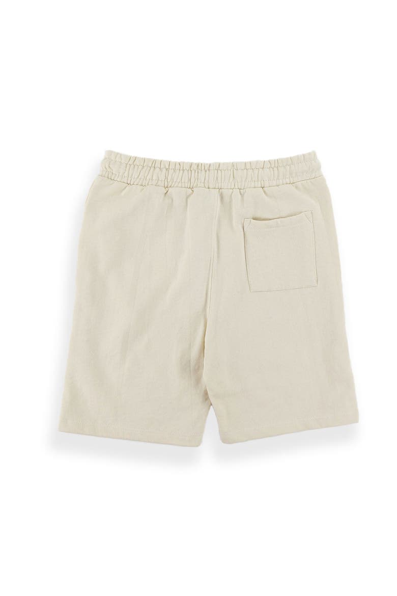 Men's Troy Shorts, Alternate, color, Turtledove/ Saint La
