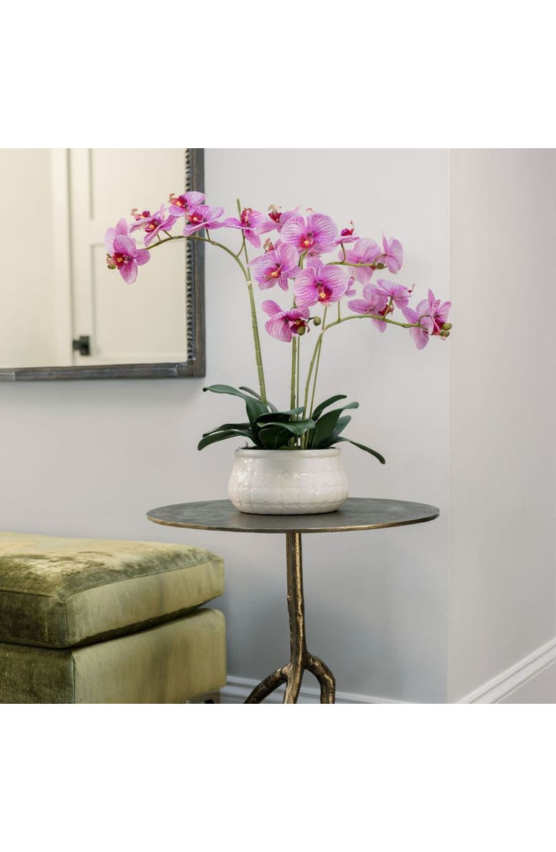 CG Hunter 23" Phale Orchid, Alternate, color, Purple