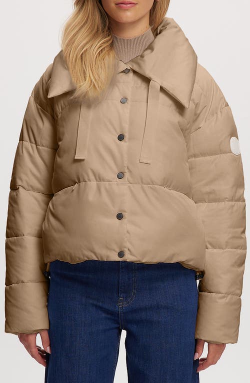 Noize Crop Puffer Jacket In Brown